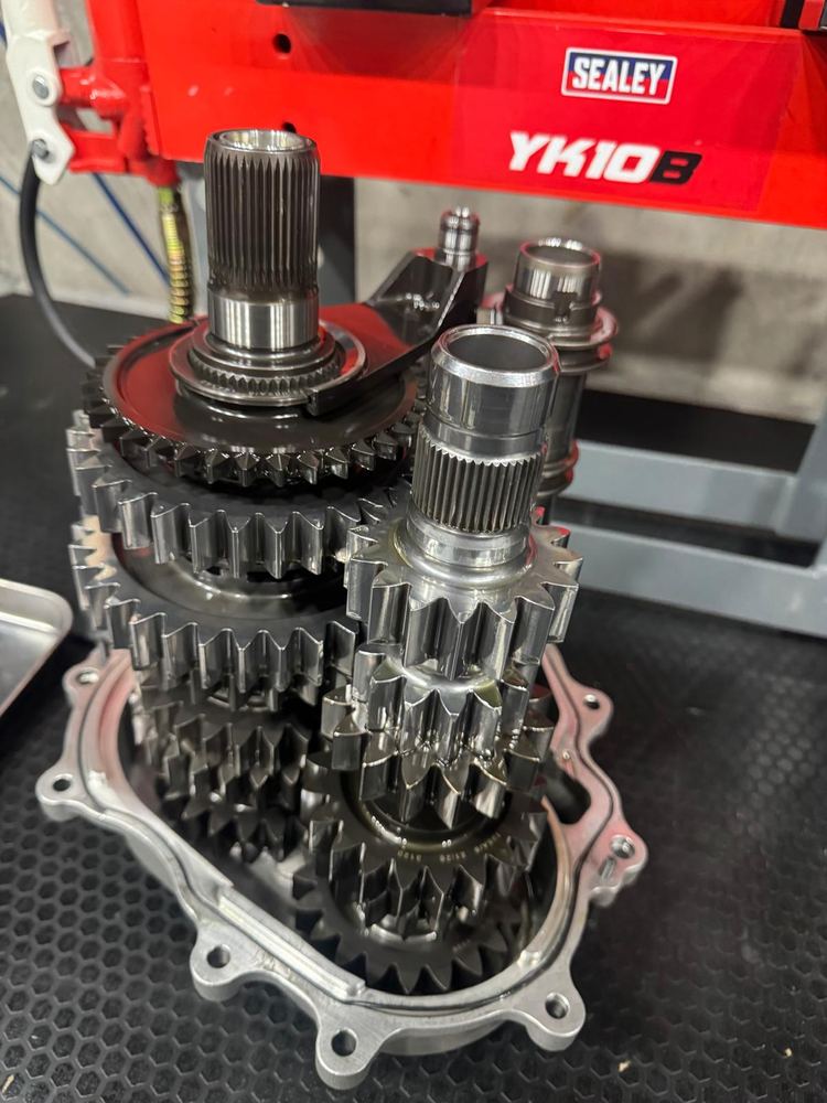 Gear contact pattern inspection.